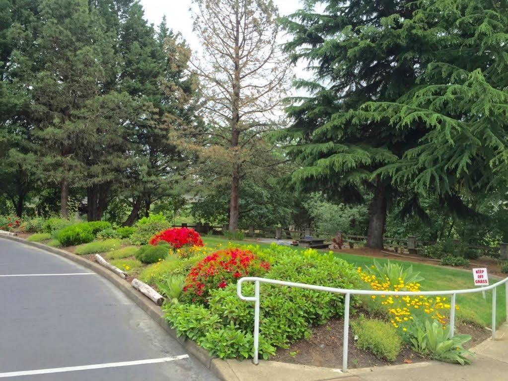 Riverfront Inn 로즈버그 외부 사진